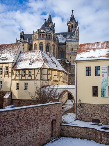 Dom van Magdeburg in de winter