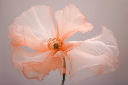 Blume in Pastellfarben