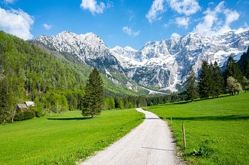Blick auf einen alpinen Talweg im Frühling in den Alpen von Sjoerd van der Wal Fotografie