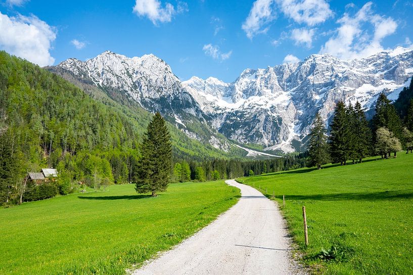 Vue d'un sentier de vallée alpine au printemps dans les Alpes par Sjoerd van der Wal Photographie
