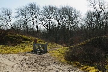 the gate von Georges Hoeberechts