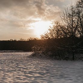 Die weiße Landschaft im Abendlicht von Floor Bogaerts