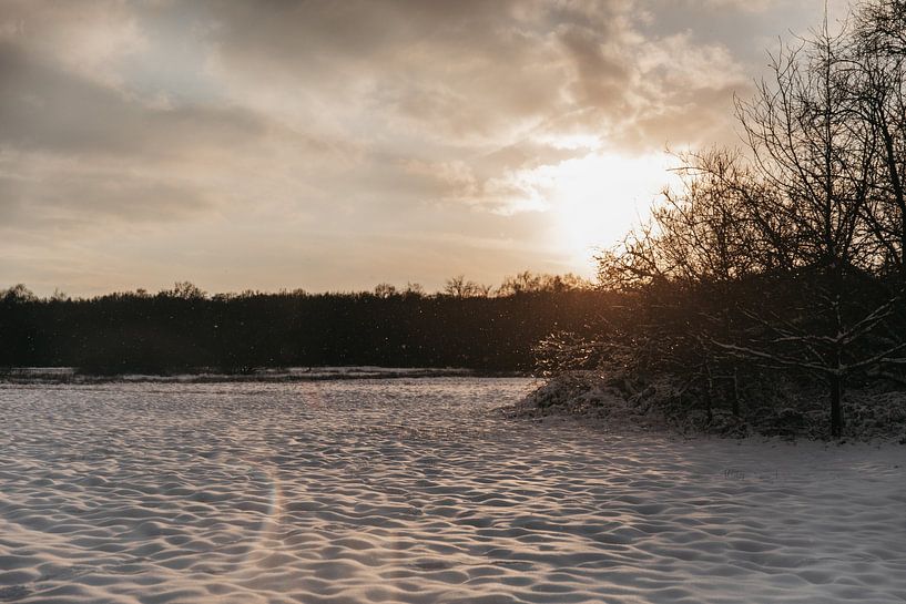 Het witte landschap in avondlicht van Floor Bogaerts