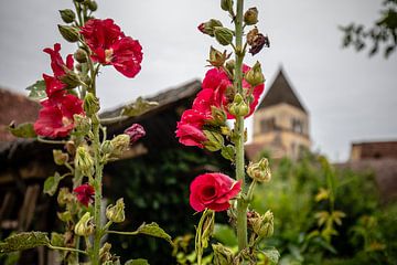 frans dorpje met kerk en rode bloemen