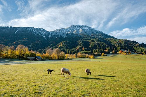 Breitenberg in de herfst met vorst en verse sneeuw