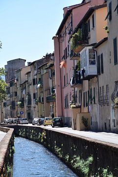 Toskana Italien Lucca Stadtzentrum von Hendrik-Jan Kornelis