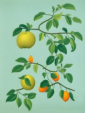 Appels en sinaasappels van YesItsArt