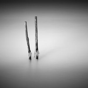 The two of us sur Marco Maljaars