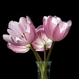 Tulpen in vaas van Sabine Wiechmann