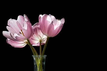 Tulpen in vaas van Sabine Wiechmann