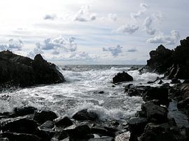 Wild and romantic coastal scenery, Kullaberg, Sweden 3