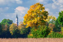 Paysage d'automne avec des feuilles multicolores à Schrobenhausen