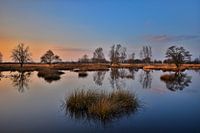 Zonsondergang in het Bargerveen
