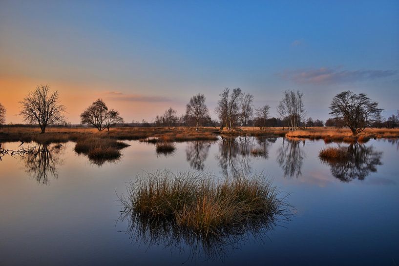 Sunset in the Bargerveen by Stefan Wiebing Photography