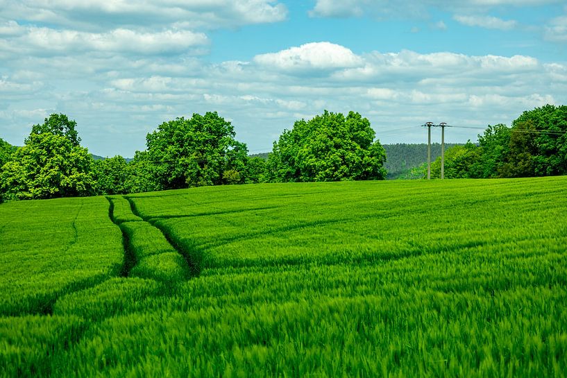 Sommerliche Wandertour durch das Saale Tal zur wunderschönen Leuchtenburg bei Kahla - Thüringen - Deutschland von Oliver Hlavaty