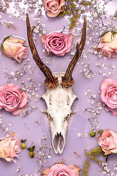 Ode to eternal love - Antlers / skull deer. by Nikki Segers