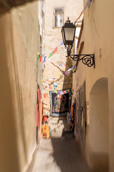 Ungarn | Györ | verträumtes Pastell in der Stadt von Gabry Zijlstra