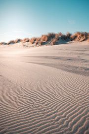 Dunes Orange Sun by Andy Troy