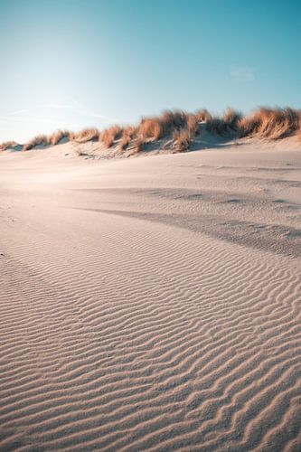 Duinen oranjezon