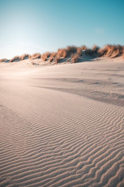 Dunes Orange Sun par Andy Troy