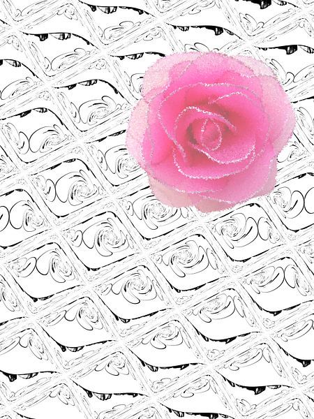 Pink tulle rose on white relief by Loreta