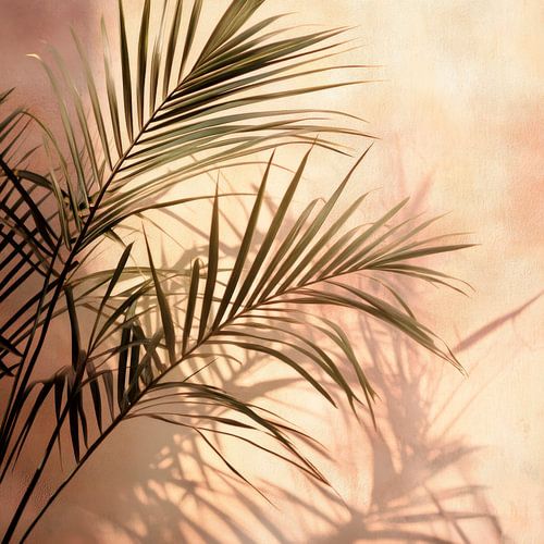 Schaduw van de palmbladeren