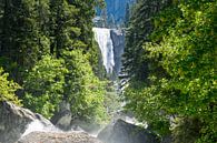 Prachtige waterval in de wildernis van Amerika van Linda Schouw thumbnail