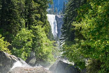 Beautiful waterfall in the wilderness of America by Linda Schouw