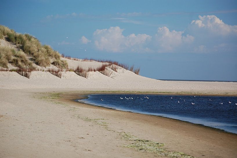 Slufter Texel par Rob de Jong