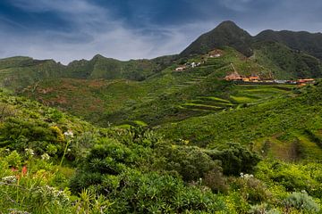 Paysage montagneux près de Chinamada, à Ténérife