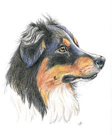 Lassie by Marian van der Veen-Niemeijer