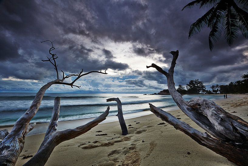 Seychelles par Graham Forrester
