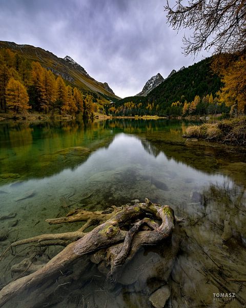 Palpuognasee étonnant par Tomasz_best_shots
