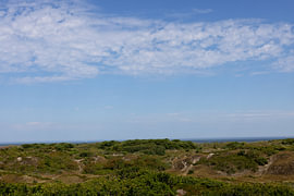 Photos de l'île de Spiekeroog, située en Frise orientale, dans la mer du Nord. sur Bianca Meyering Fotos - BMF