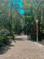 Serene walking route