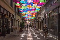 Colours of the street