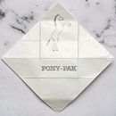 Gnome post Pony Pack on marble by Floris Kok thumbnail
