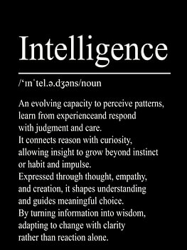 Intelligence Definition - Noir
