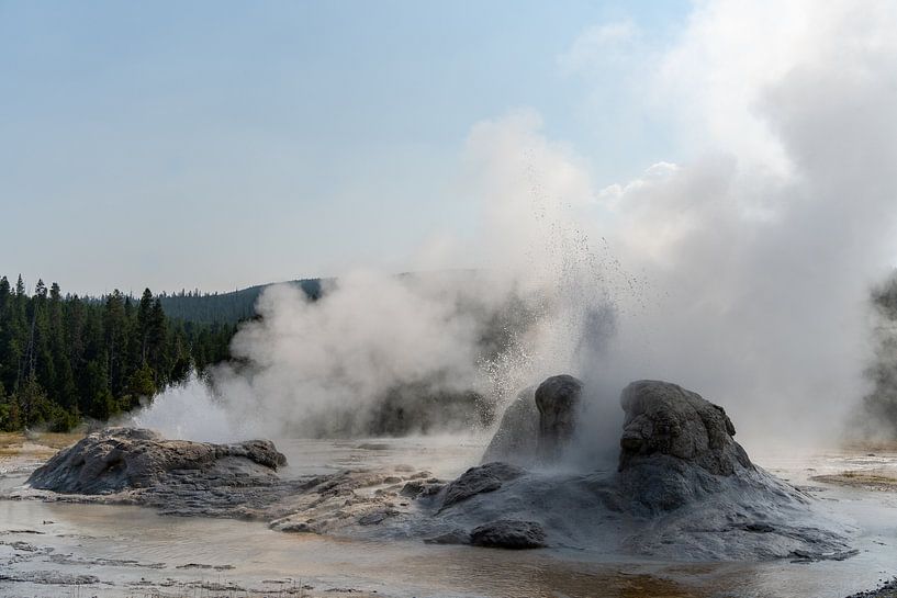 Geysire im Yellowstone-Nationalpark, USA von Jeroen van Deel