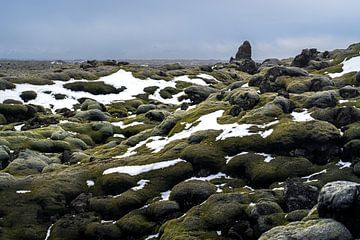 Moss hills with snow in Iceland by Mickéle Godderis