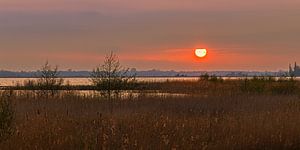 Panorama-Sonnenuntergang am Zuidlaardermeer