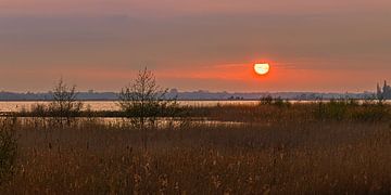 Panorama sunset at Zuidlaardermeer