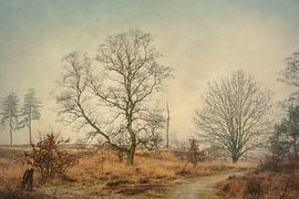 The tree of Anton Pieck by Thijs Kupers