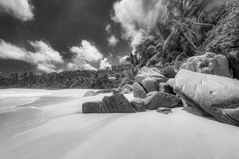 Droomstrand op het eiland Mahé in de Seychellen. Zwart en wit van Manfred Voss, Schwarz-weiss Fotografie