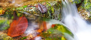 Mossman Gorge, Queensland - Australia von Van Oostrum Photography