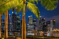Downtown Singapore van Bart Hendrix thumbnail