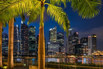 Stadtzentrum Singapur von Bart Hendrix