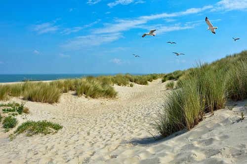 Strand Idyll