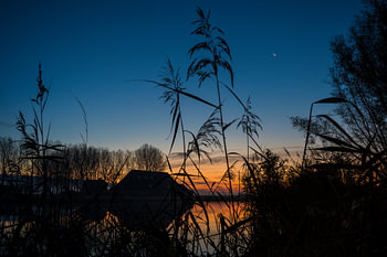 Ferme au bord de l'eau