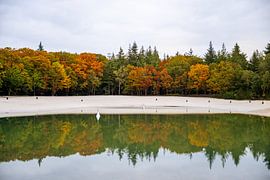 Herbstfarben mit Spiegelung im Wasser von Dennis Venema